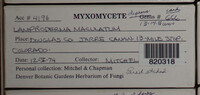 Image Associated With the Occurence